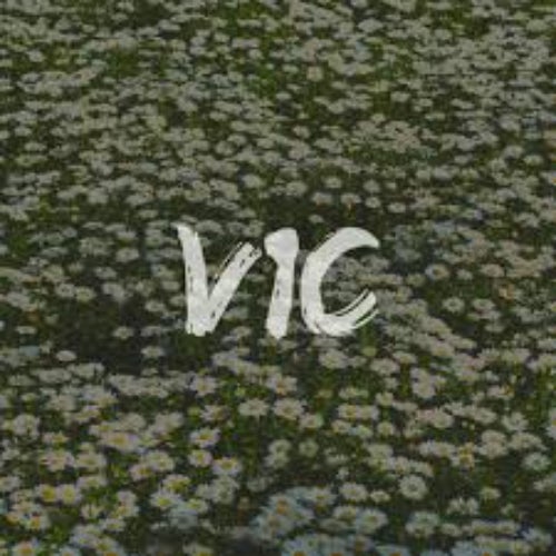 V1C Profile