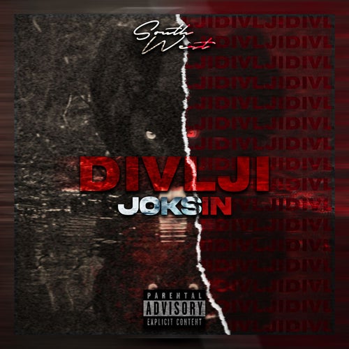 Divlji