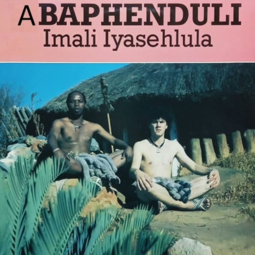 Imali Iyasehlula
