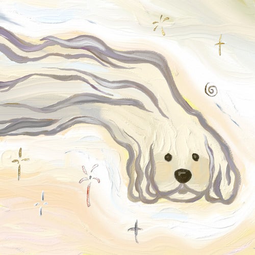 bow-wow