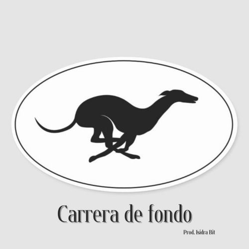 Carrera de fondo