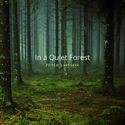 In a Quiet Forest