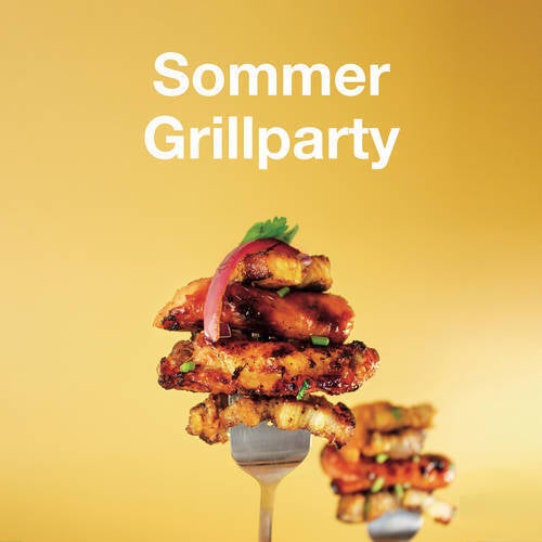 Sommer Grill Party
