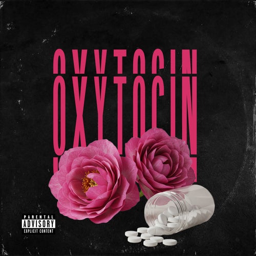 Release of the week