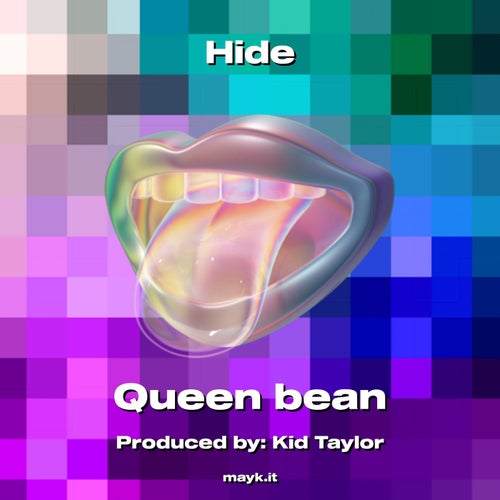 Hide
