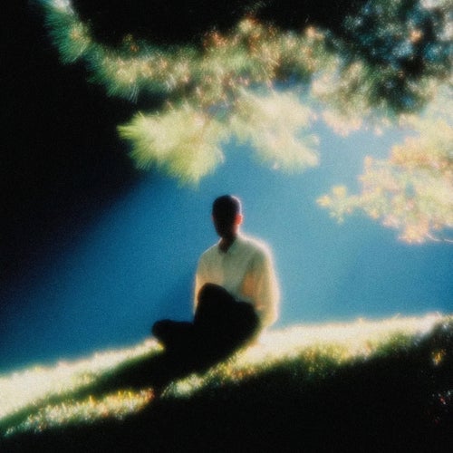 forest between thoughts
