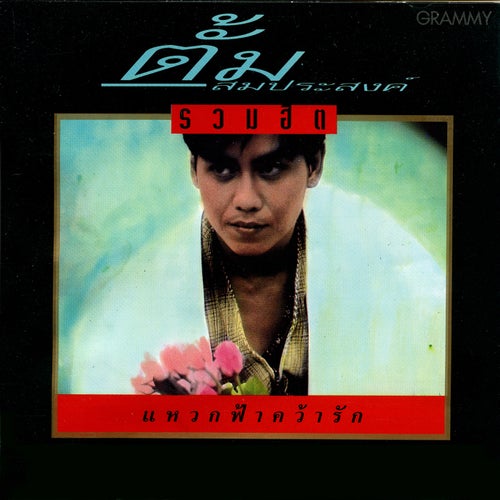 รวมฮิต แหวกฟ้าคว้ารัก