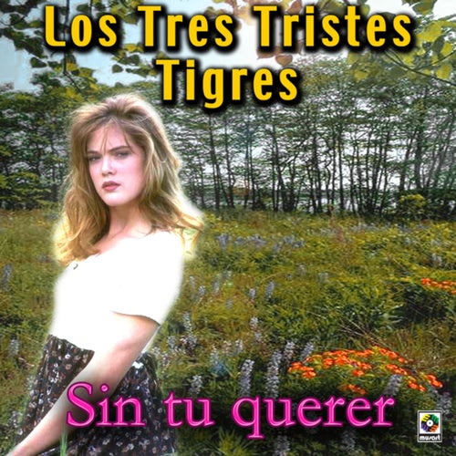 Sin Tu Querer