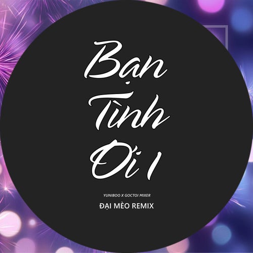 Bạn Tình Ơi (Đại Mèo Remix Beat)