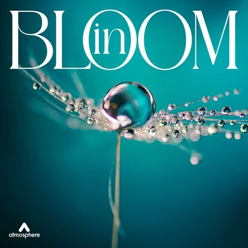 In Bloom