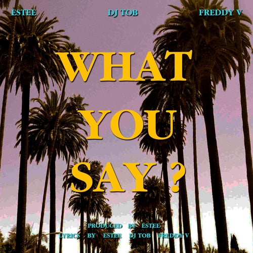 What You Say (feat. TOB Southside, Freddy V)