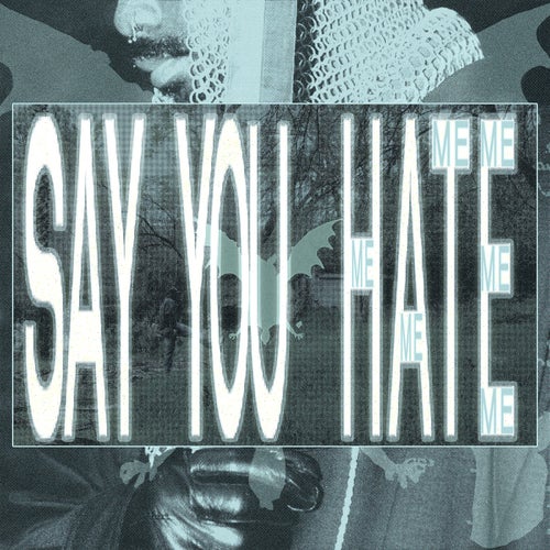 Say You Hate Me