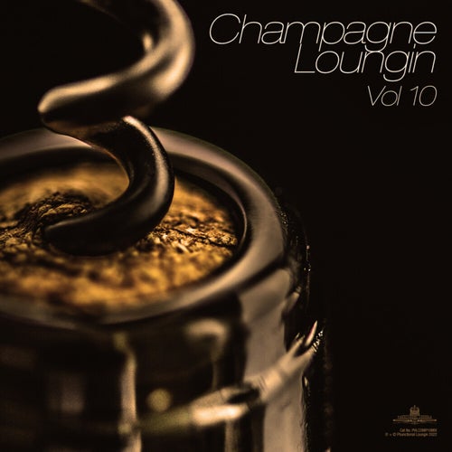 Champagne Loungin, Vol. 10 (Continuous Mix)