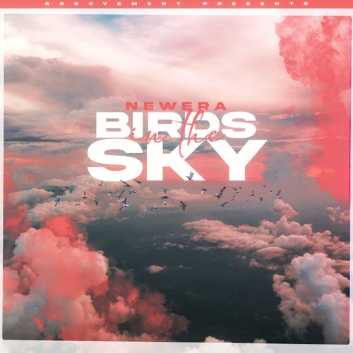 Birds In The Sky (Acoustic)