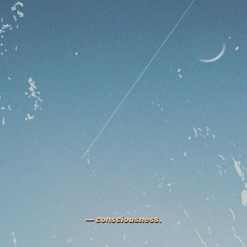 Consciousness (Stripped)