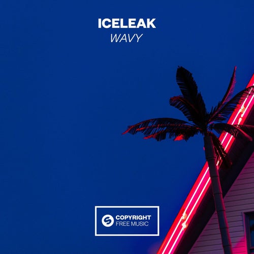 Wavy (Extended Mix)