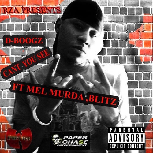 Can't You See (feat. Mel Murda & Blitz) - Single