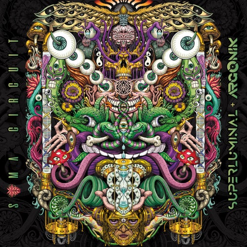 Soma Circuit