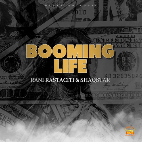 Booming Life