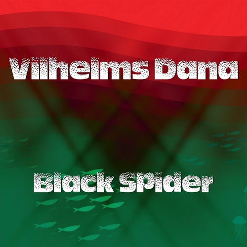 Black Spider