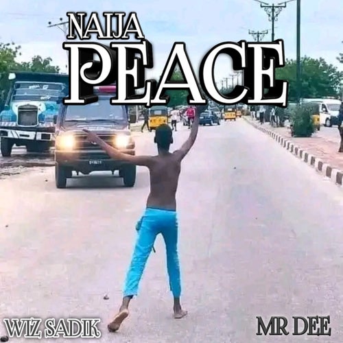 NAIJA PEACE (feat. mr dee)