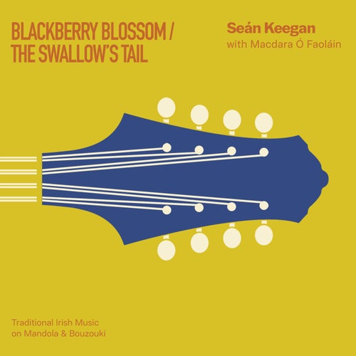 Blackberry Blossom - The Swallow’s Tail