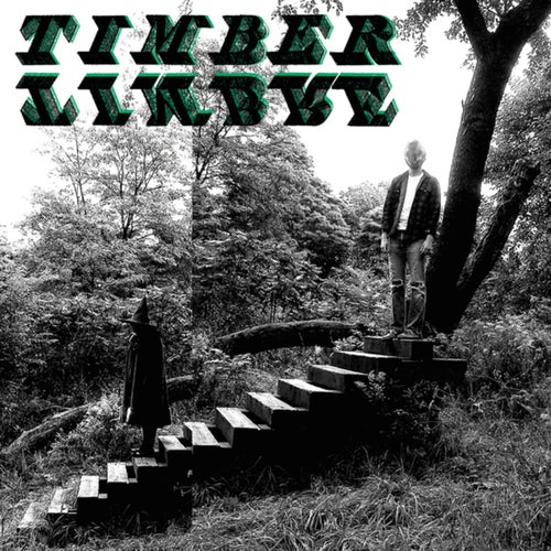 Timber Timbre