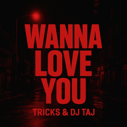 Wanna Love You