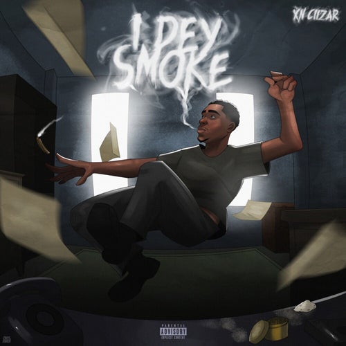 IDS(Freestyle)
