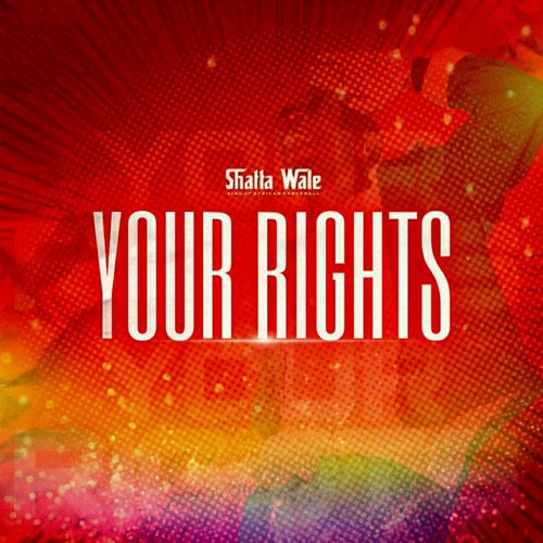 Your Rights