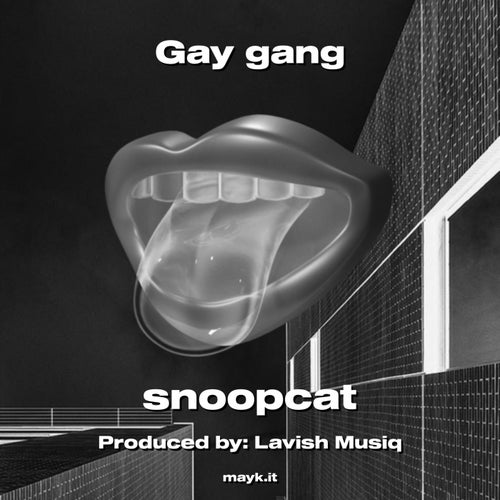 Gay gang