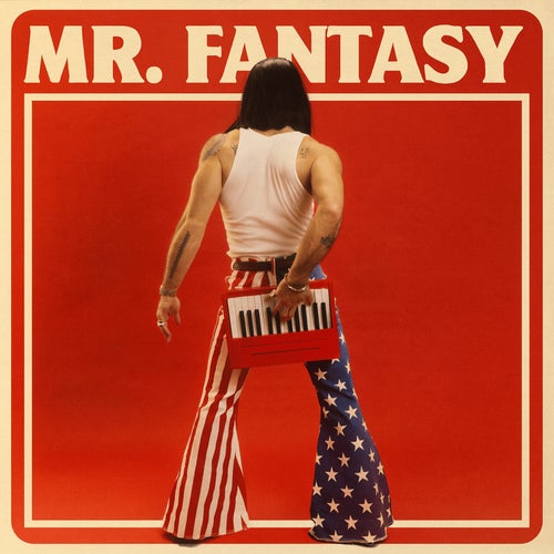 Mr. Fantasy