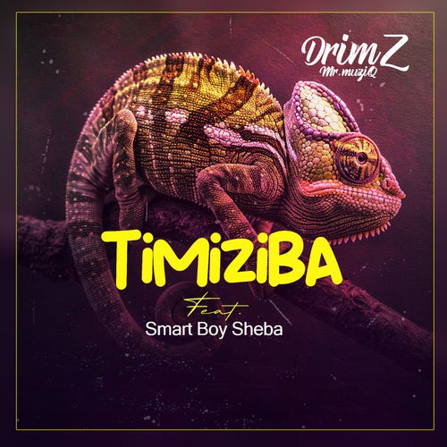 Timiziba (feat. Smart Boy Sheba)