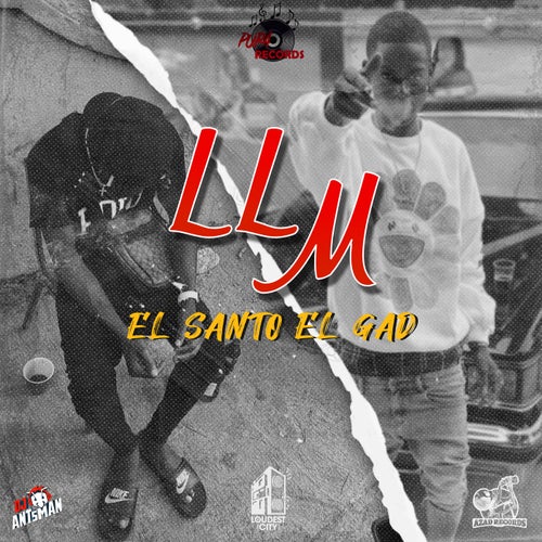 LLM