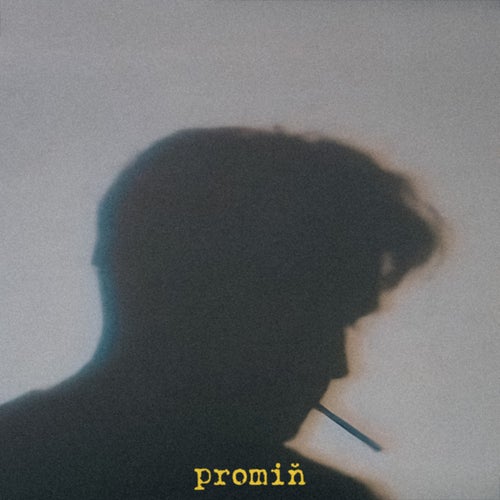 Promiň