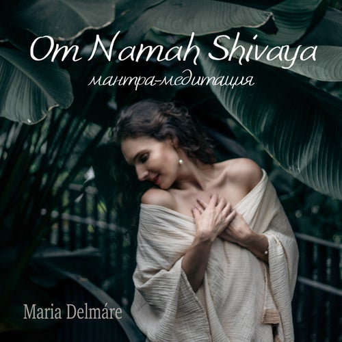 Om Namah Shivaya (мантра-медитация)