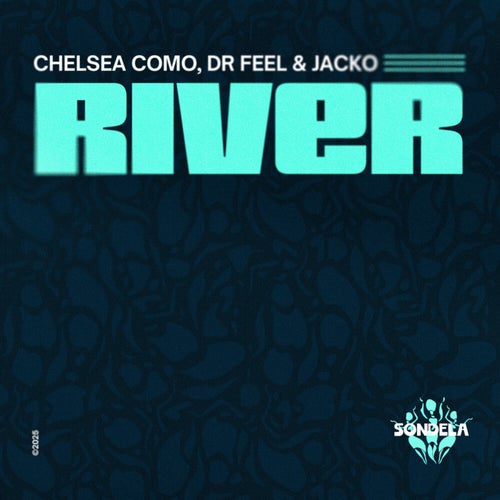 Release of the week