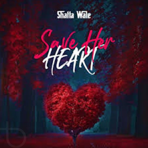 Save Her Heart
