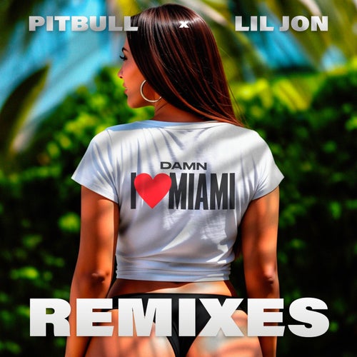 Damn I Love Miami (Remixes)