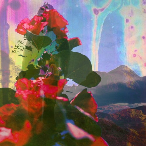 Release of the week