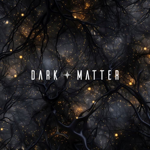 Dark Matter