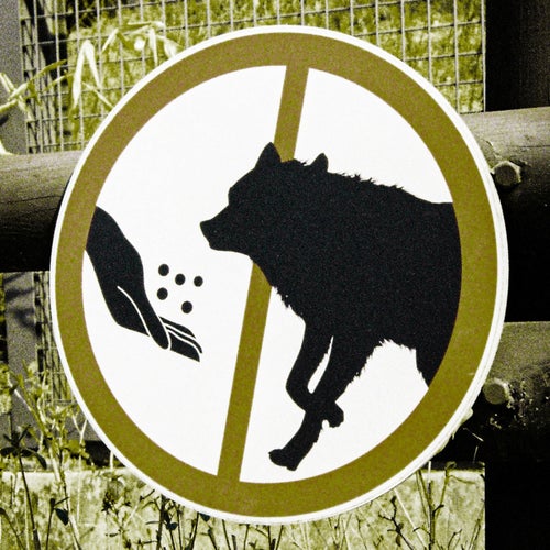Dont Feed The Beast