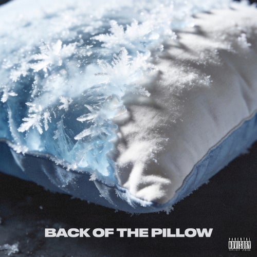 Back of the Pillow