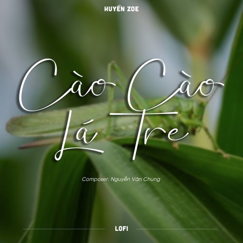 Cào Cào Lá Tre (Lofi)