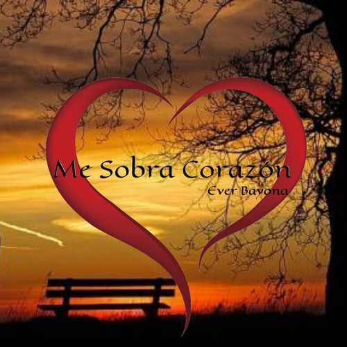 Me Sobra Corazón