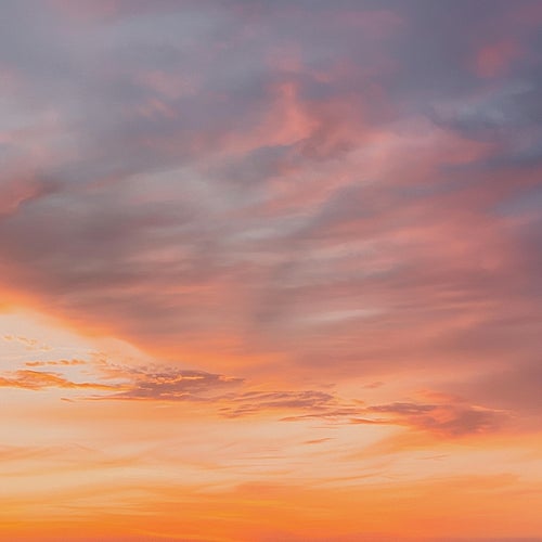 Dreamscape