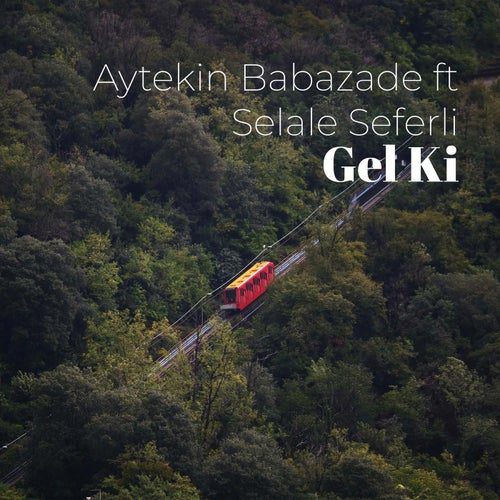 Gel Kİ