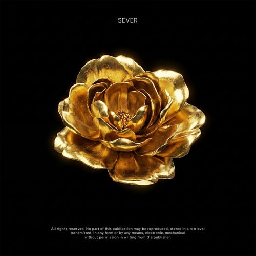 Vision Gold