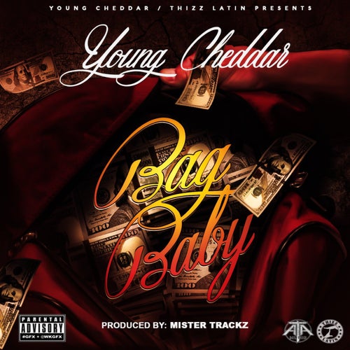 Bag Baby (feat. Young Mick & Cinco)