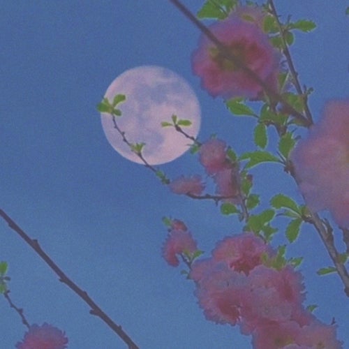crushed flowers